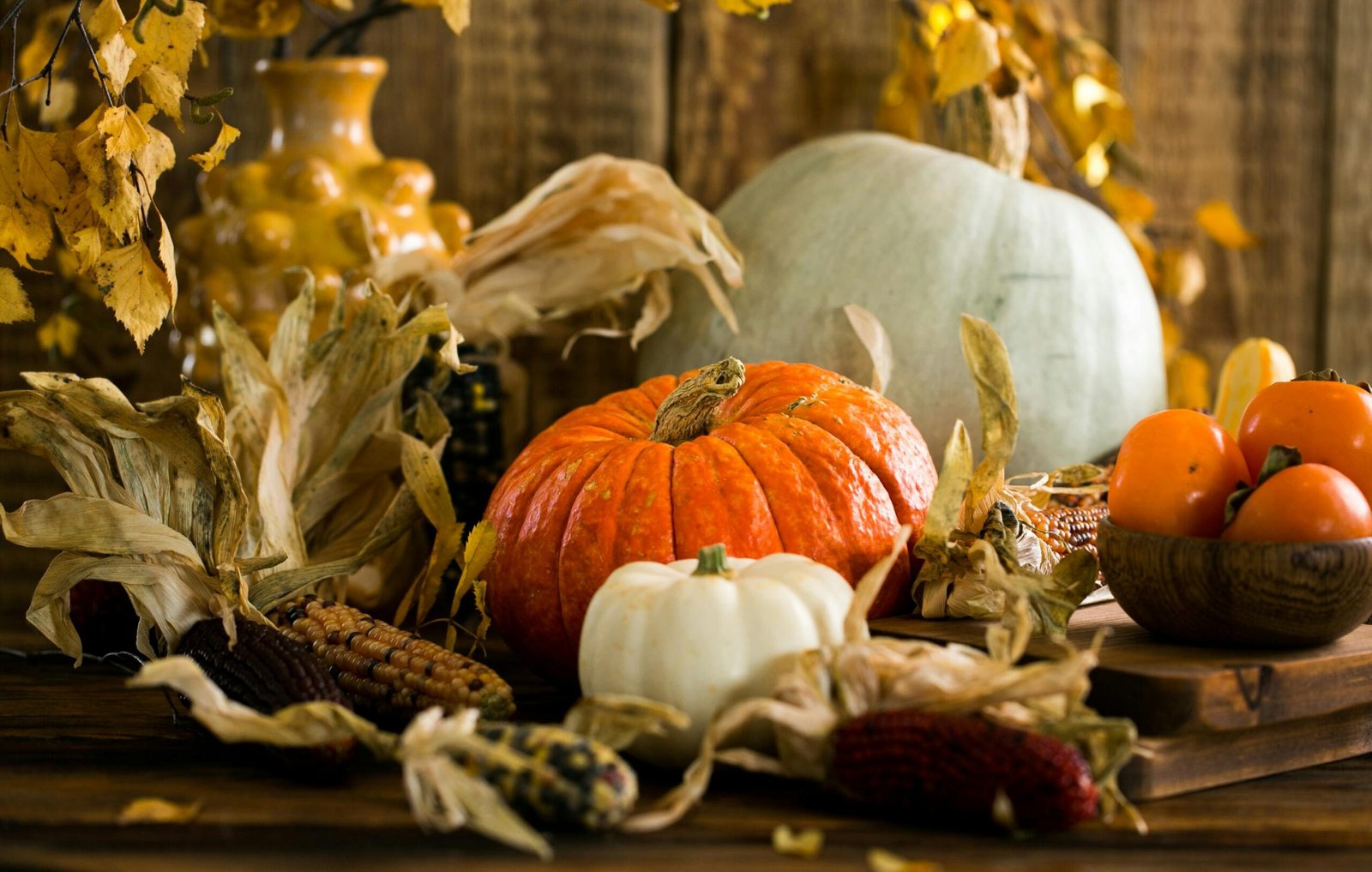 Still life of pumpkins and gourds with autumn leaves, capturing the essence of fall.